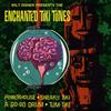 The Enchanted Tiki Tones - Wilt Disner Presents The Enchanted Tiki Tones