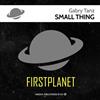 Gabry Tanz - Small Thing