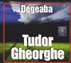 Tudor Gheorghe - Degeaba