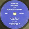 ouvir online Phil Olt, Jr - How To Call Ducks