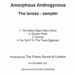 Download Amorphous Androgynous - The Isness Sampler