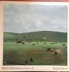 ladda ner album Larry Groce - Green Pastures Are Before Me