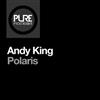 Album herunterladen Andy King - Polaris