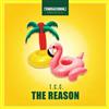 TCC - The Reason