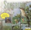 Album herunterladen No Artist - Songbirds The Natural Sounds Of The Wilderness