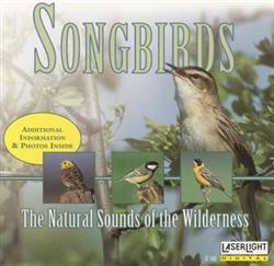 Download No Artist - Songbirds The Natural Sounds Of The Wilderness