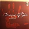 baixar álbum Blame Featuring Selah - Because Of You