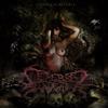 last ned album Cerebral Slaughter - Cadenas De Miseria