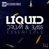 ouvir online Various - Liquid Drum Bass Essentials 14