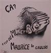 escuchar en línea Maurice Le Gaulois - Ça Cest Du Musette