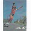 lataa albumi Skittle Alley - demo