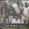 baixar álbum Jah Thomas Meets The Roots Radics - Dubbing