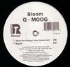 Album herunterladen QMoog - Bloom