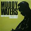 kuunnella verkossa Muddy Waters - Muddy Waters Sings The Songs Of Big Bill Broonzy