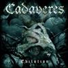 Album herunterladen Cadaveres - EvilutionDevils Dozen