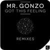 Album herunterladen Mr Gonzo - Got This Feeling Remixes