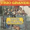 baixar álbum Trio Grande - Vatter Schlatter