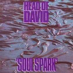 Download Head Of David - Soul Spark