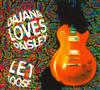 lataa albumi Dajana Loves Paisley - Let Loose