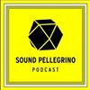 télécharger l'album Various - The Sound Pellegrino Podcast Episode 90 Nick Hook