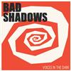 télécharger l'album Bad Shadows - Voice In The Dark