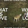 escuchar en línea David Ivan Neil - What Is Love