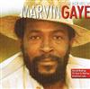 ouvir online Marvin Gaye - The Best Hits Of Marvin Gaye