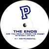 télécharger l'album The Ends - Are You Really From The Ends Mystery VIP Mix