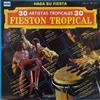 télécharger l'album Various - 30 Artistas Tropicales 30 Fiestón Tropical Vol 2