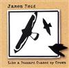 écouter en ligne James Reid - Like A Buzzard Chased By Crows