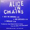 last ned album Alice In Chains - Got Me Wrong