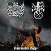 ascolta in linea Dragón De Hierro Misanthropic Kommando - Flammable Nіggеr