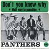 télécharger l'album The Panthers - Dont You Know Why