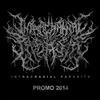 escuchar en línea Intracranial Parasite - Promo 2014