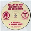 descargar álbum Valley Of The Big Bass And Big Bass Drum - Tree 8