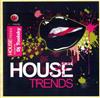 kuunnella verkossa Dj Toolsky - House Trends