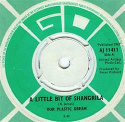 Download Our Plastic Dream - A Little Bit Of Shangrila