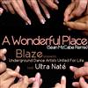 online luisteren Blaze Presents Underground Dance Artists United For Life Feat Ultra Naté - A Wonderful Place Sean McCabe Remix