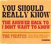 baixar álbum The Pirates Feat Enya, Shola Ama, Naila Boss & Ishani - You Should Really Know