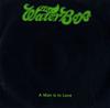 baixar álbum The Waterboys - A Man Is In Love