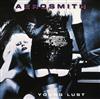 descargar álbum Aerosmith - Young Lust