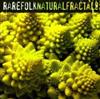 online anhören Rarefolk - Natural Fractals