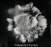 descargar álbum Polyacid - Cycles