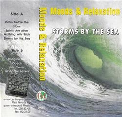 Download Unknown Artist - Storms By The Sea Moods Relaxation