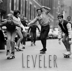 Download Leveler - Basement Demo