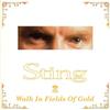 baixar álbum Sting - Walk In Fields Of Gold