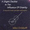 Album herunterladen Mike Gribkoff - A Slight Decline In The Influence Of Gravity