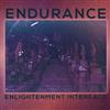 Endurance - Enlightenment Interface