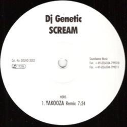 Download DJ Genetic - Scream