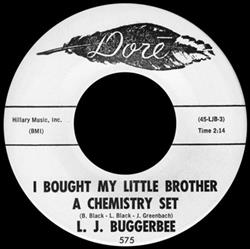 Download L J Buggerbee Unknown Artist - I Bought My Little Brother A Chemistry Set Lonesome Looie